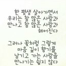 프란체스카 영부인이 1988년 88세에 남긴 뒷이야기. 이미지