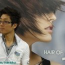 지오헤어 이미지