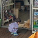 유진 스크린골프 | 그냥 흘러가버린 2월 일상