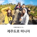 대일카마스터 | ▲ 제주도 여행 준비물, 일정짜기 Tip.
