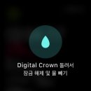 속초 브루스타 이미지