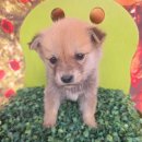 남평읍행정복지센터 이미지