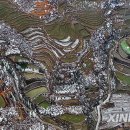 Snow County 이미지