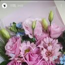 소피아꽃방