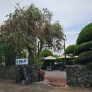 상모로-11 이미지