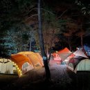 섬진강문화학교 독도사진전시관 | 전남 곡성 계곡 캠핑장 BEST 5 🏕️ 시원한 물놀이와 힐링 명소 추천