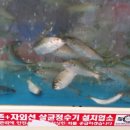 대창수산 이미지