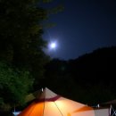 화개송이민박 이미지