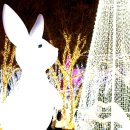 (주)용암온천관광호텔 이미지