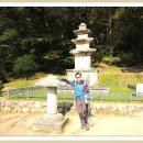 풍기인삼시장 이미지