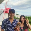 풍차펜션 | 강릉 애견동반 숙소 꿈꾸는풍차 펜션 패밀리룸 후기