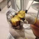 무지개빌라 4동 | 경주애견독채풀빌라 개별마당있는 프라이빗한 경주애견독채펜션