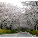 광주컨트리클럽 이미지