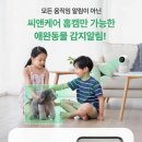 씨앤개발