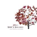 미성카라이트 네이버블로그