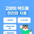 석적동물병원 이미지