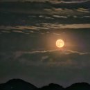 자담치킨 교하점 이미지