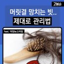 빗과머릿결 - 양주시 | 빗과머릿결