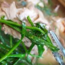 장터식당 이미지