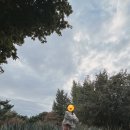 하와이 훌라댄스 (초급반) | 아트퍼스트 시즌 4 <우리를 연결하는, 하와이안 훌라댄스> 참여 후기