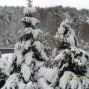 무지개송어횟집 이미지