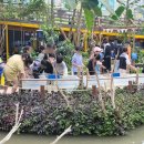 창녕우포곤충나라 이미지