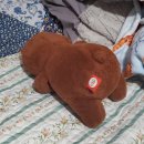 zzZ 이미지