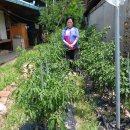 가든이용소 이미지