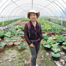 찬우물약수터 이미지