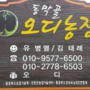 진천농협하나로마트 이미지