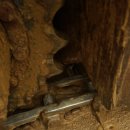 현대농장(3) 이미지