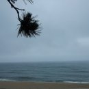 탑스빌모텔 이미지