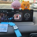 팔공컷트