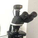 낭만고양이병원 이미지