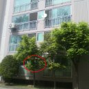 행선로14 네이버블로그
