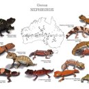 그루멍 프렌즈 이미지