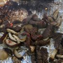 둘레길펜션텔 이미지