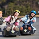 스카이라인루지부산 이미지