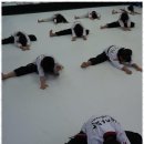 참사랑 태권도장 이미지