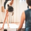 사하라동물병원 이미지