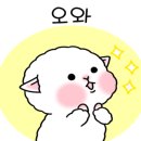 우주펫애견미용 이미지