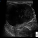 아띠동물의료센터 이미지