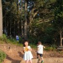 솔향기 힐링 하우스 이미지