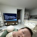 우리동네청소왕 | [해린이 일기(3)] 귤현동에서의 나날들 / 새벽수유를 도맡은 아빠? / 엄마는 뽀뽀 금지! / 이제는 제법...