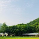 한터농원 영농조합법인 이미지