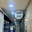 엄지당구장 | [창원]상남동 네일,가로키티 자석네일 후기,창원 네일샵_하츠코이