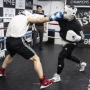 에버에이스 복싱 BOX-1 덕은 이미지