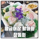 대덕합기도 | 대덕구 횟집 황금어장 활어회 참돔회 대전 횟집 맛집 후기