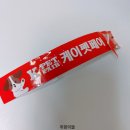 펫츠플레이트 | 20210529 햇님달님 오늘일기 (케이펫페어 일산, 체력과 지갑 다 털리고 온 후기)