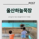 부산 근교 아이랑 가볼만한 곳. 울산하늘목장 후기!